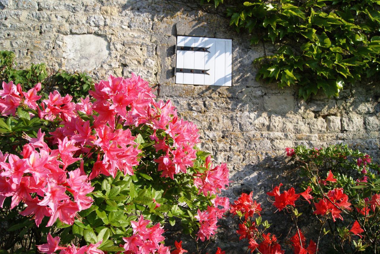 Manoir De La Pataudiere B&B Villers-Canivet Eksteriør billede